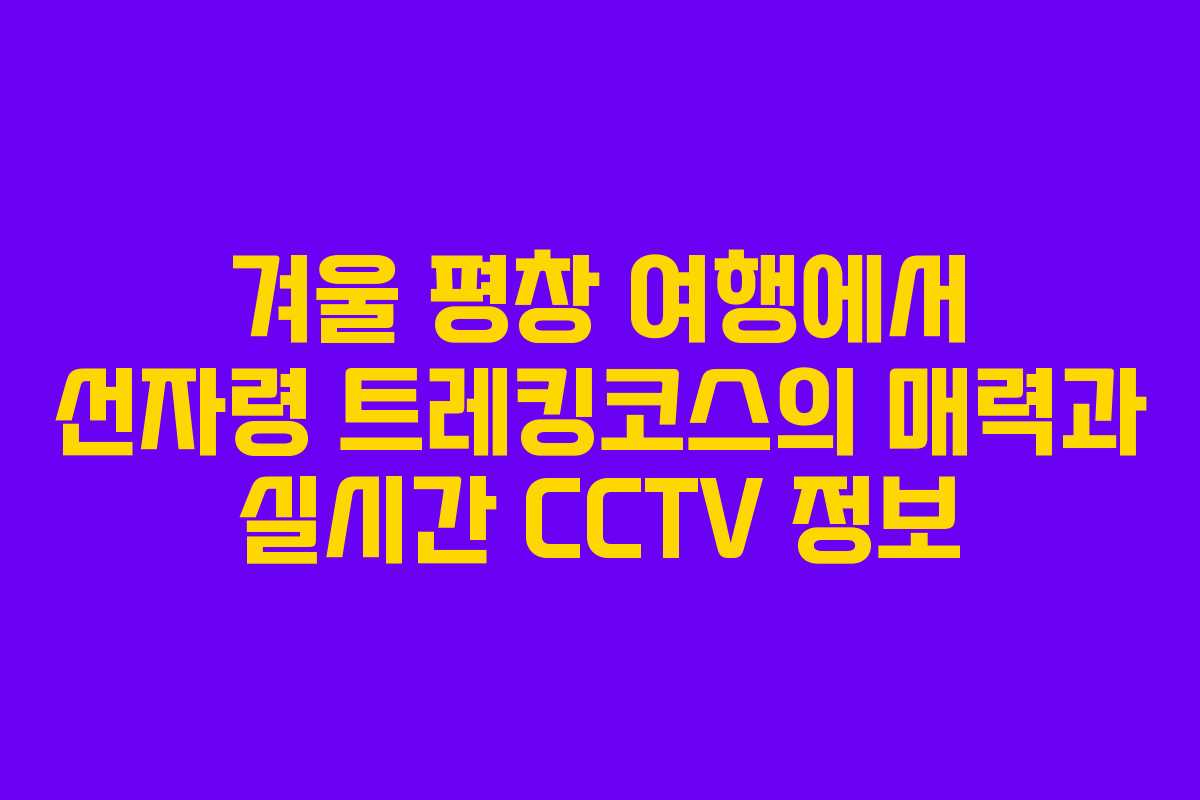 겨울 평창 여행에서 선자령 트레킹코스의 매력과 실시간 CCTV 정보
