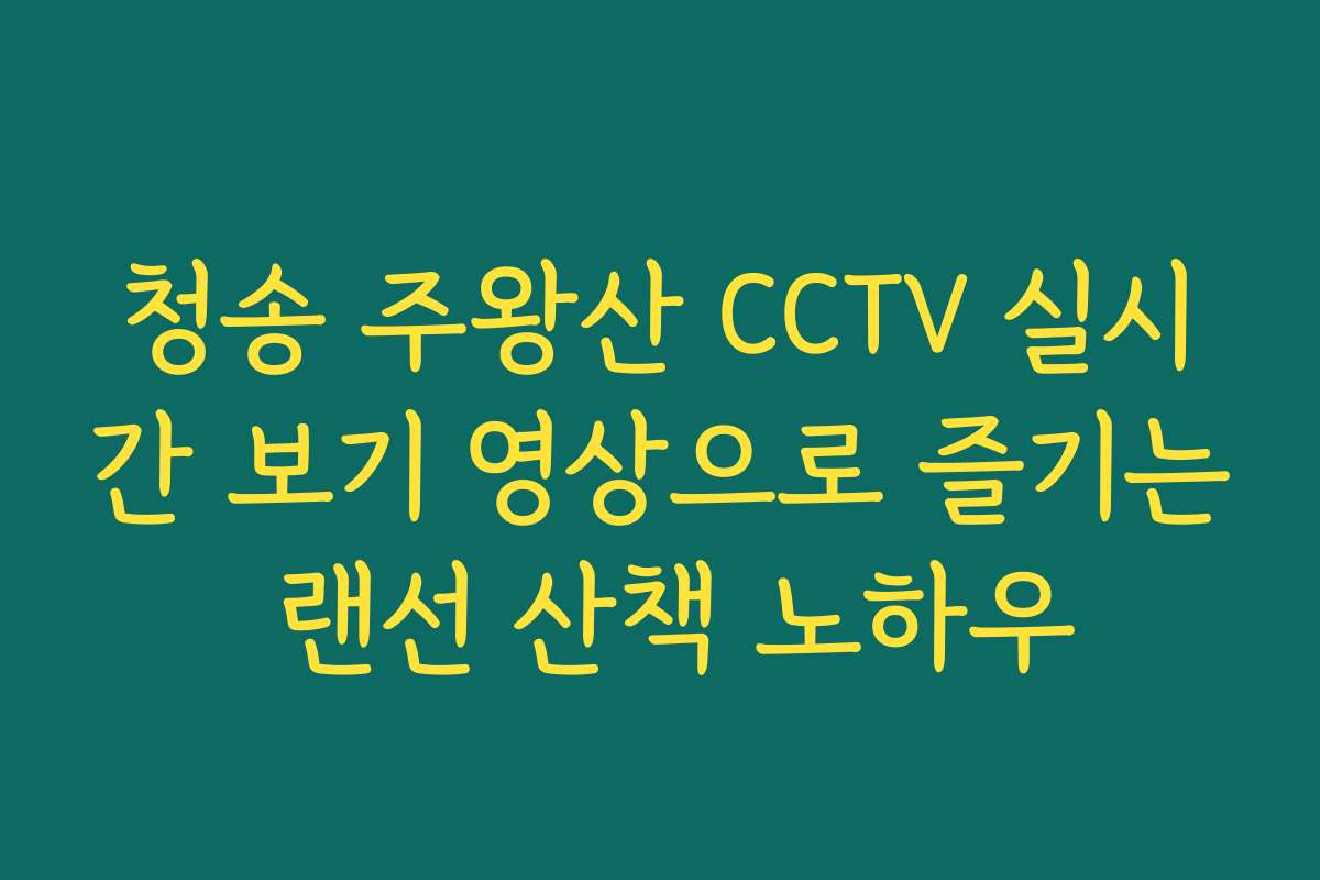 청송 주왕산 CCTV 실시간 보기 영상으로 즐기는 랜선 산책 노하우