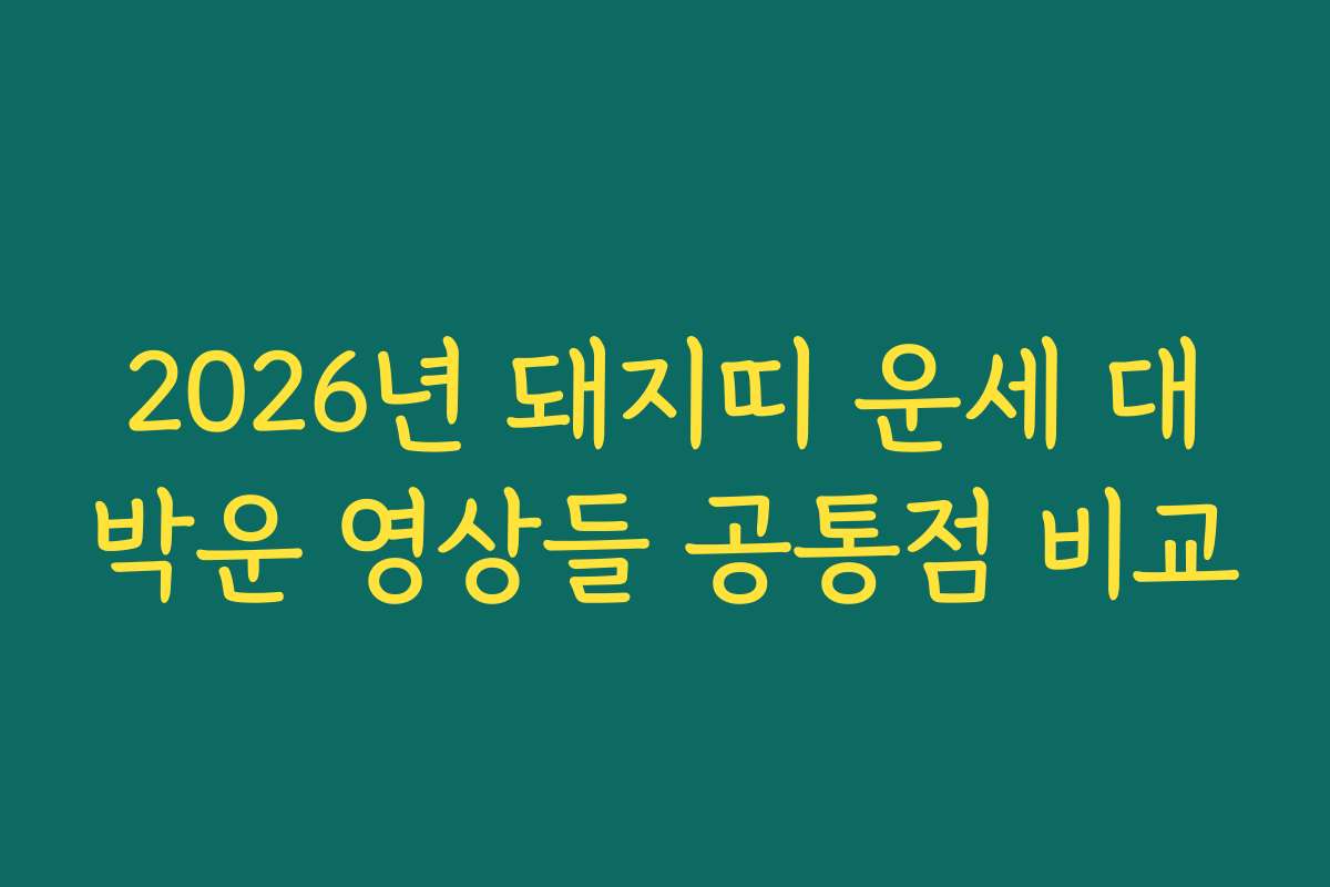 2026년 돼지띠 운세 대박운 영상들 공통점 비교