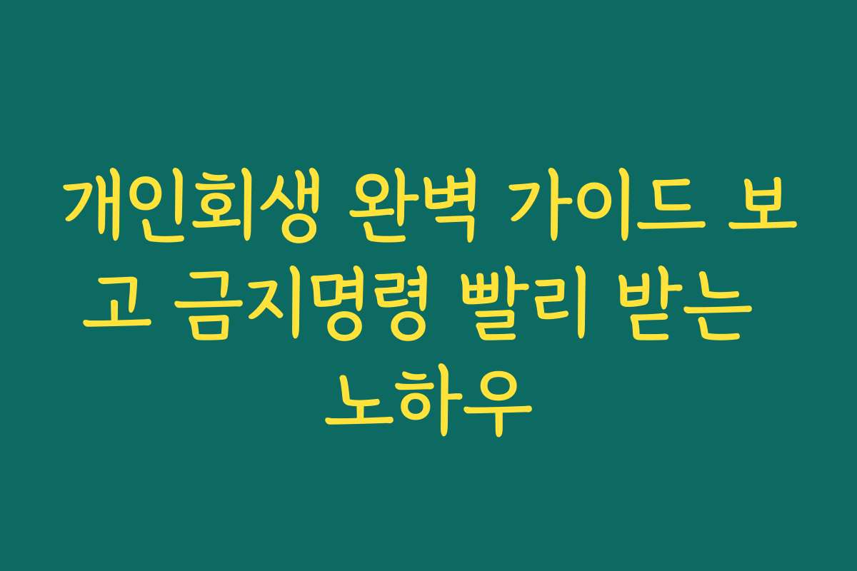 개인회생 완벽 가이드 보고 금지명령 빨리 받는 노하우