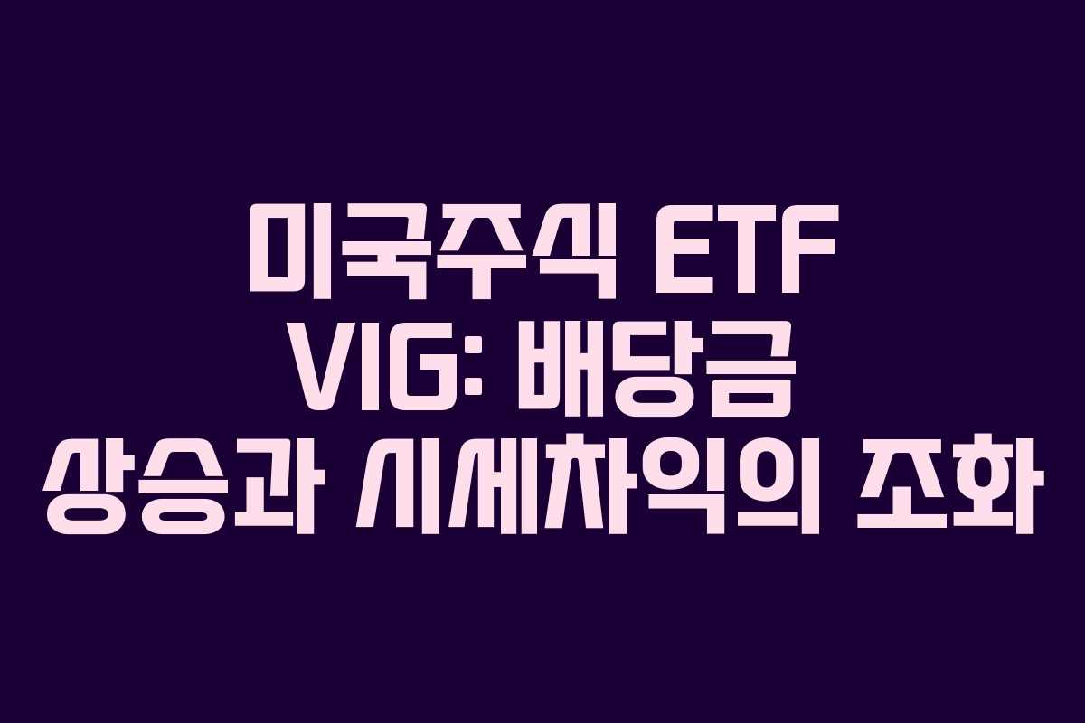 미국주식 ETF VIG: 배당금 상승과 시세차익의 조화