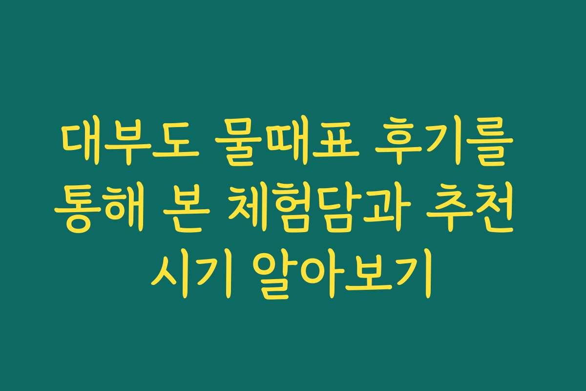 대부도 물때표 후기를 통해 본 체험담과 추천 시기 알아보기