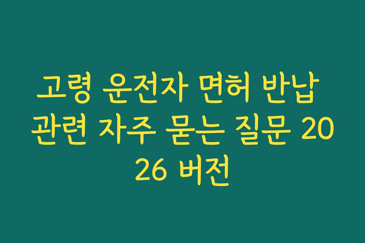 고령 운전자 면허 반납 관련 자주 묻는 질문 2026 버전