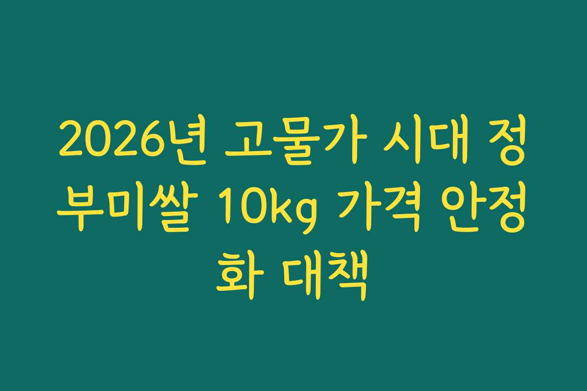 2026년 고물가 시대 정부미쌀 10kg 가격 안정화 대책