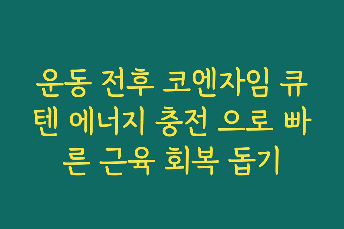 운동 전후 코엔자임 큐텐 에너지 충전 으로 빠른 근육 회복 돕기