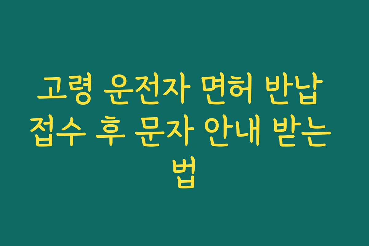 고령 운전자 면허 반납 접수 후 문자 안내 받는 법