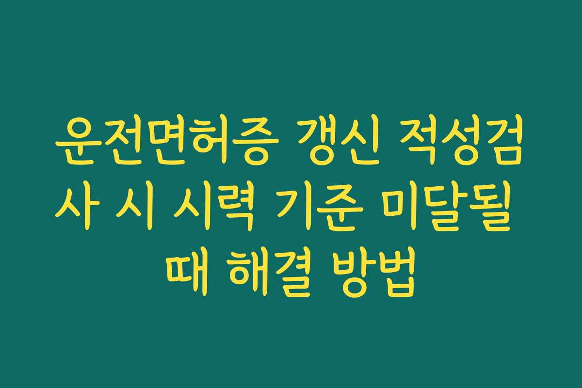 운전면허증 갱신 적성검사 시 시력 기준 미달될 때 해결 방법