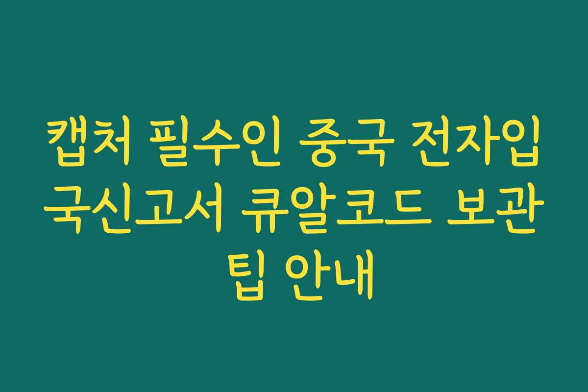 캡처 필수인 중국 전자입국신고서 큐알코드 보관 팁 안내