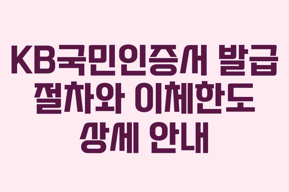 KB국민인증서 발급 절차와 이체한도 상세 안내