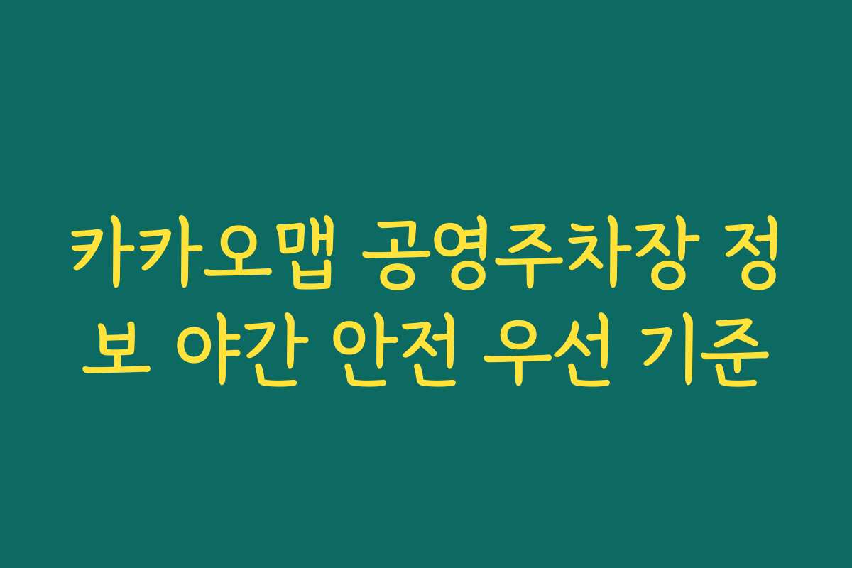 카카오맵 공영주차장 정보 야간 안전 우선 기준
