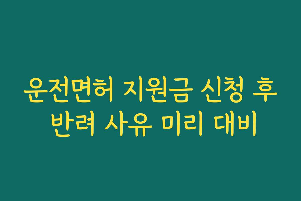 운전면허 지원금 신청 후 반려 사유 미리 대비