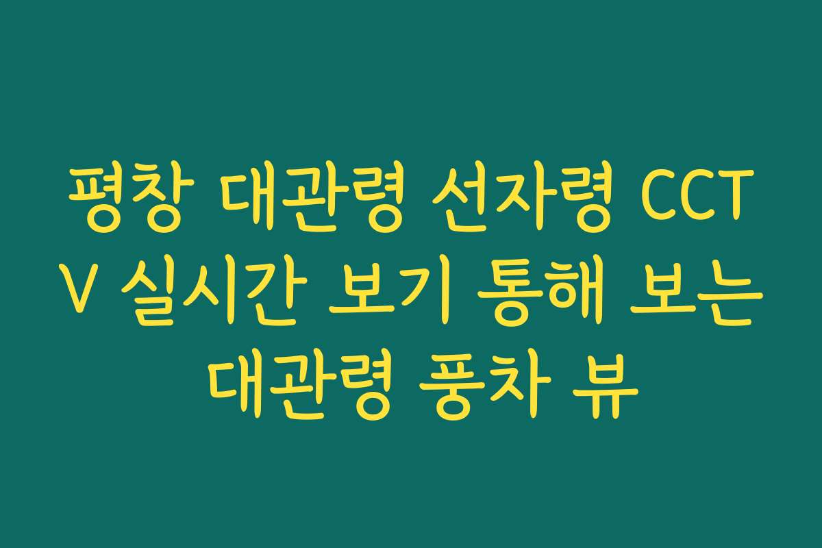 평창 대관령 선자령 CCTV 실시간 보기 통해 보는 대관령 풍차 뷰