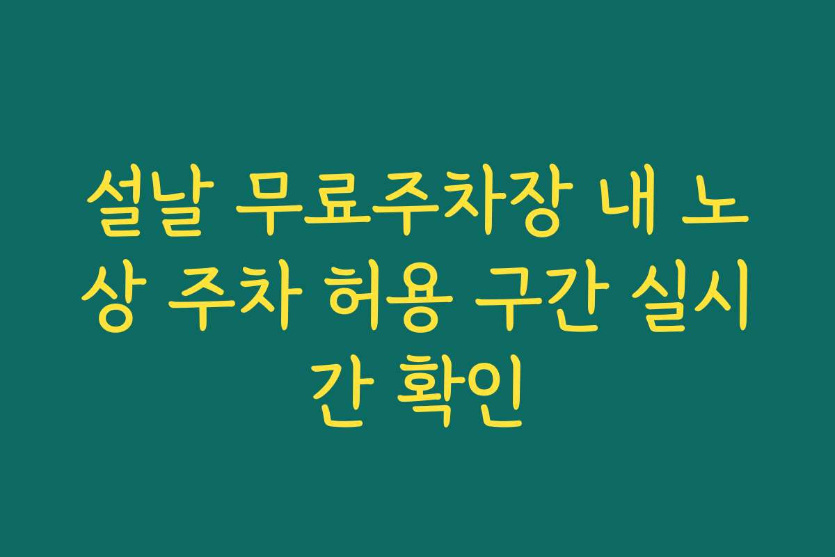 설날 무료주차장 내 노상 주차 허용 구간 실시간 확인