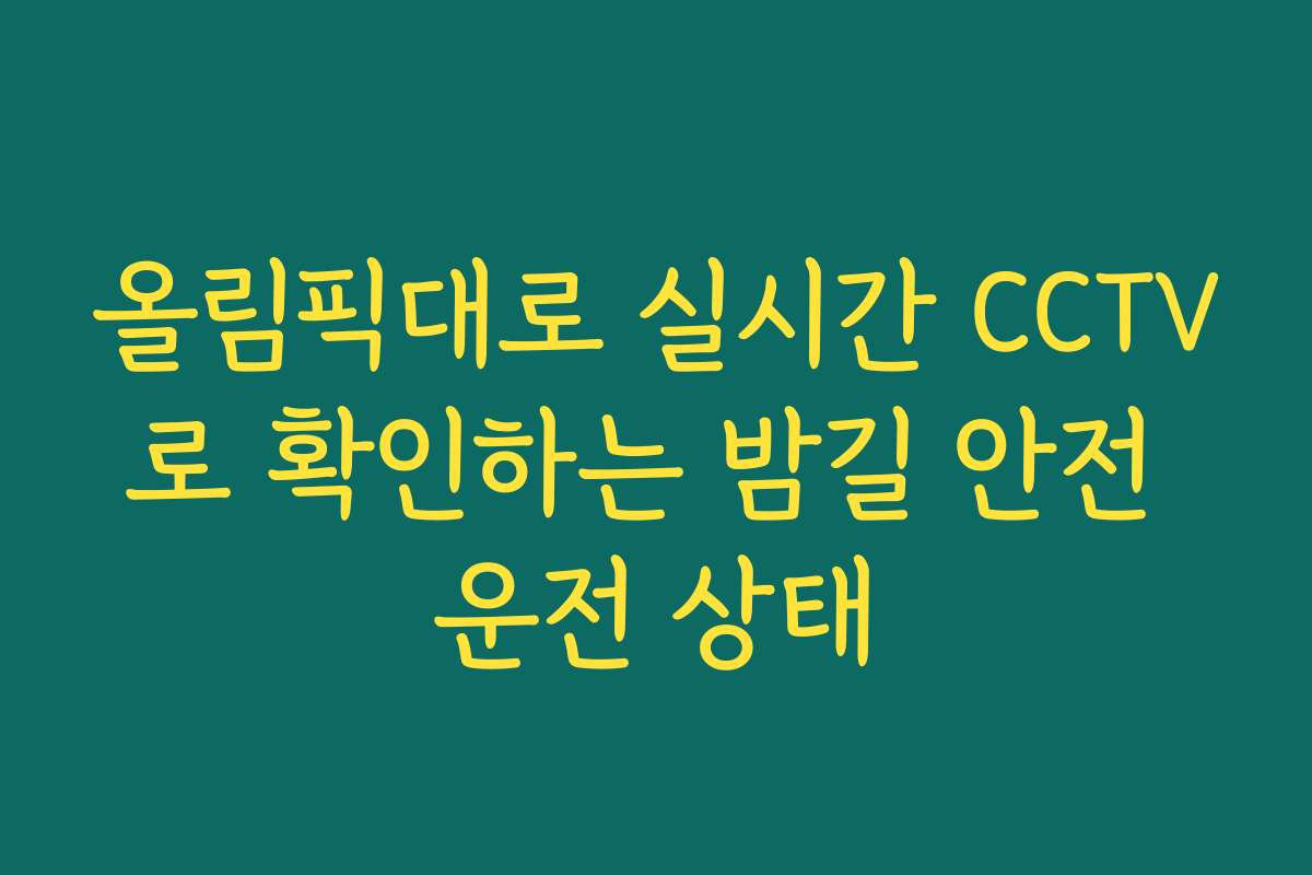 올림픽대로 실시간 CCTV로 확인하는 밤길 안전 운전 상태