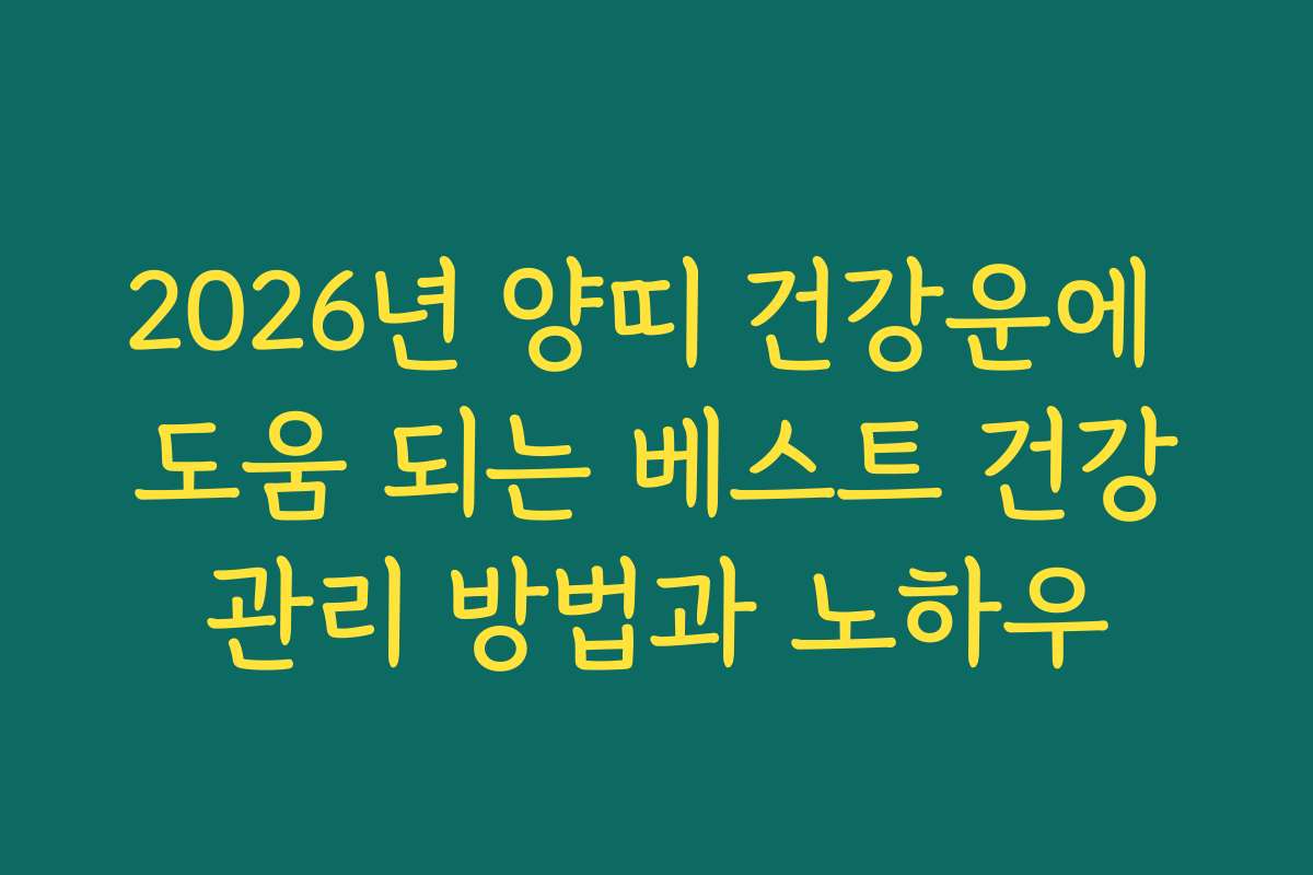 2026년 양띠 건강운에 도움 되는 베스트 건강관리 방법과 노하우