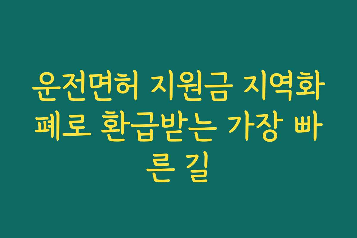 운전면허 지원금 지역화폐로 환급받는 가장 빠른 길