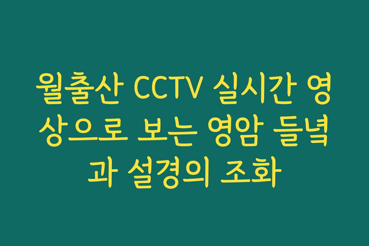 월출산 CCTV 실시간 영상으로 보는 영암 들녘과 설경의 조화