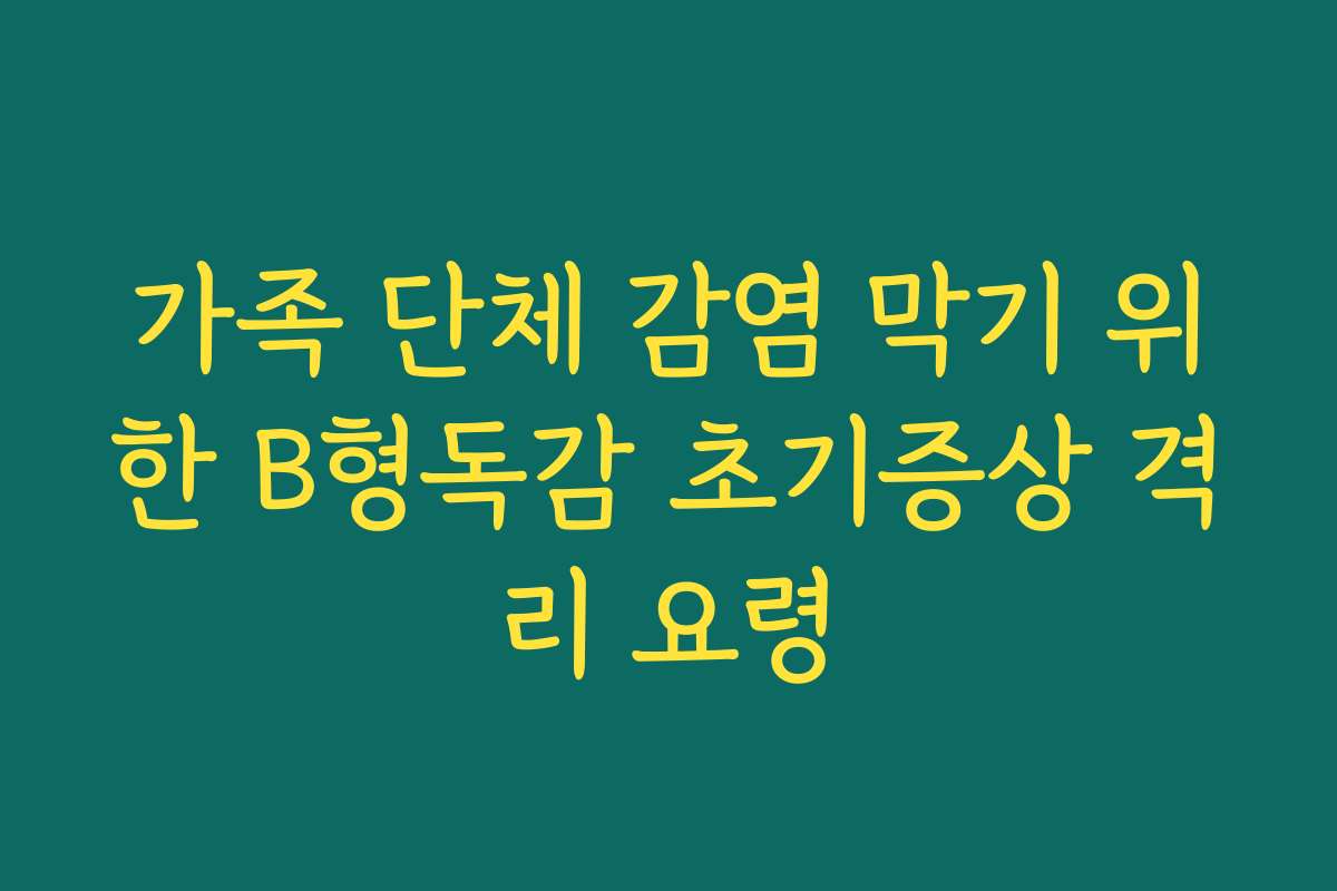 가족 단체 감염 막기 위한 B형독감 초기증상 격리 요령