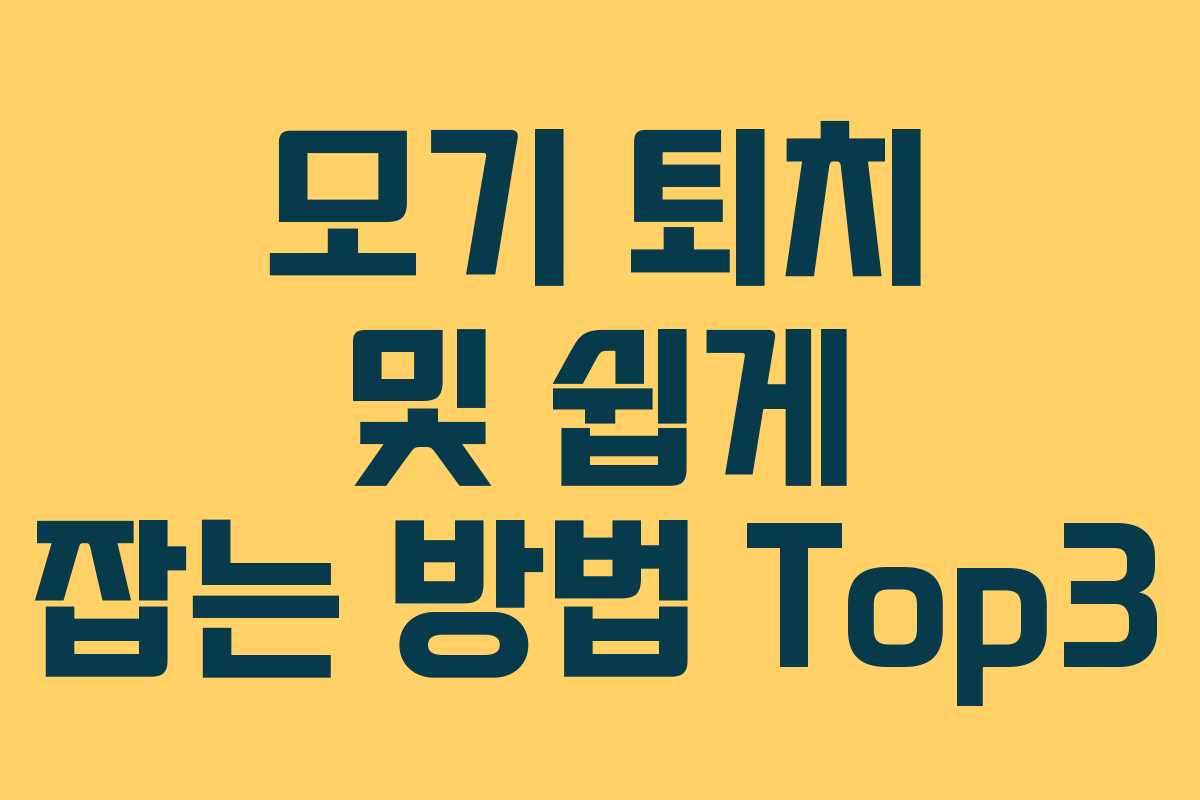 모기 퇴치 및 쉽게 잡는 방법 Top3