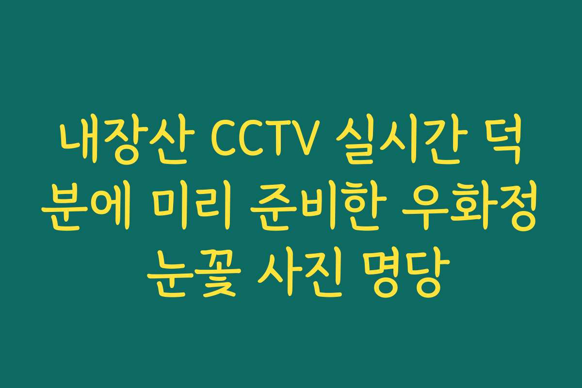 내장산 CCTV 실시간 덕분에 미리 준비한 우화정 눈꽃 사진 명당