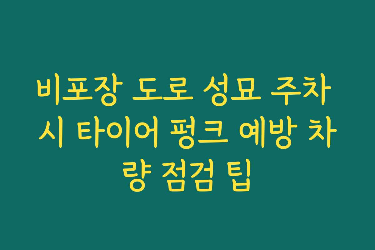 비포장 도로 성묘 주차 시 타이어 펑크 예방 차량 점검 팁