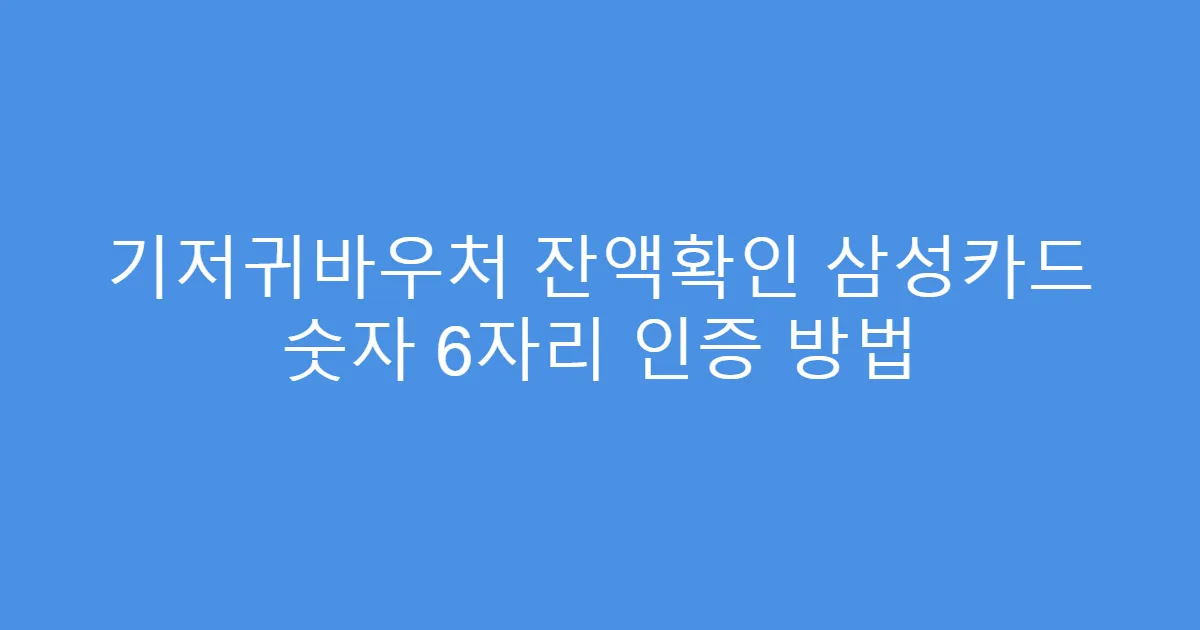 기저귀바우처 잔액확인 삼성카드 숫자 6자리 인증 방법
