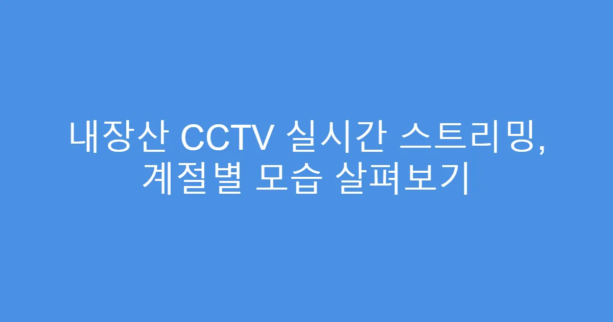 내장산 CCTV 실시간 스트리밍, 계절별 모습 살펴보기