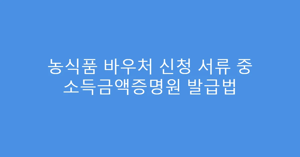농식품 바우처 신청 서류 중 소득금액증명원 발급법