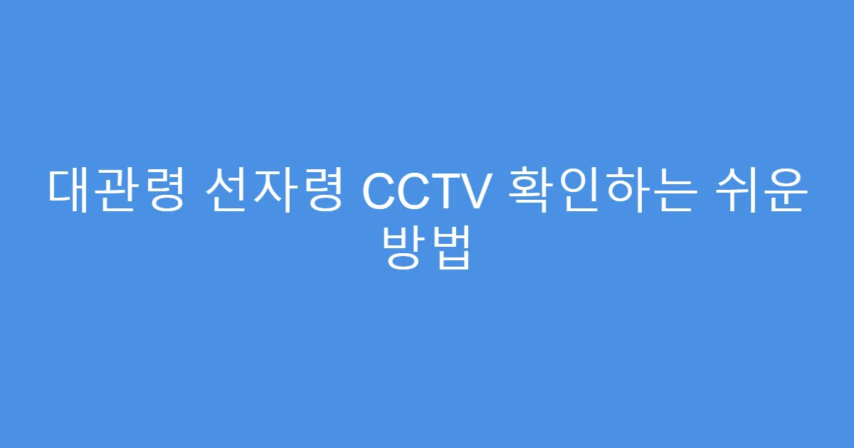 대관령 선자령 CCTV 확인하는 쉬운 방법