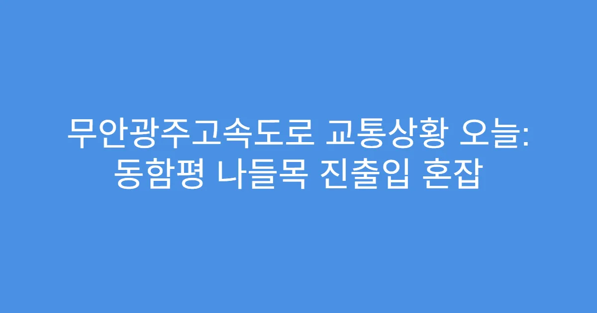 무안광주고속도로 교통상황 오늘: 동함평 나들목 진출입 혼잡