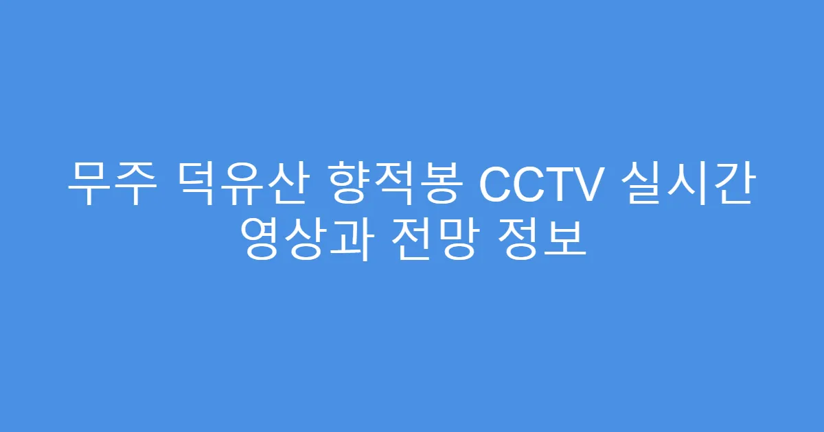 무주 덕유산 향적봉 CCTV 실시간 영상과 전망 정보