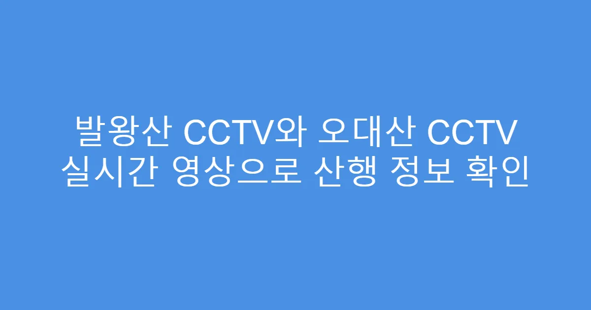발왕산 CCTV와 오대산 CCTV 실시간 영상으로 산행 정보 확인