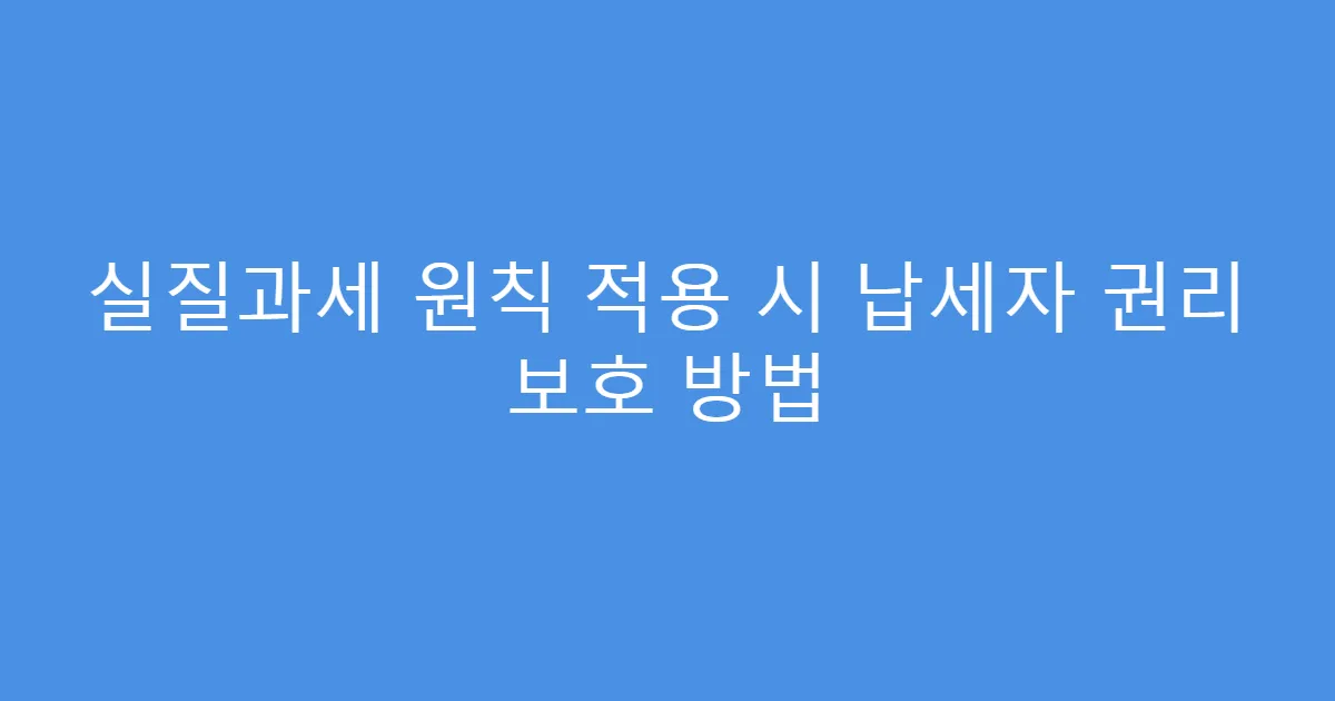 실질과세 원칙 적용 시 납세자 권리 보호 방법