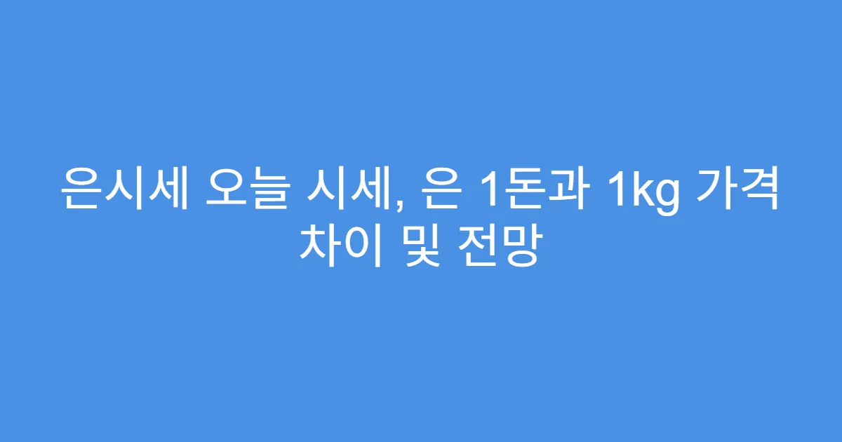 은시세 오늘 시세, 은 1돈과 1kg 가격 차이 및 전망
