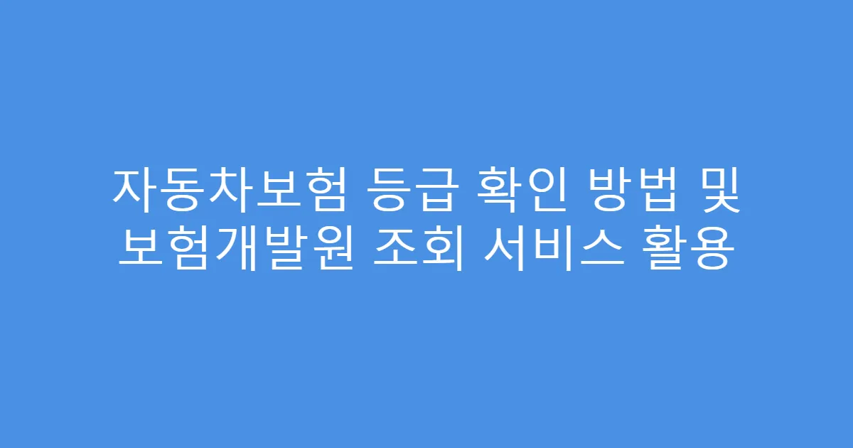 자동차보험 등급 확인 방법 및 보험개발원 조회 서비스 활용