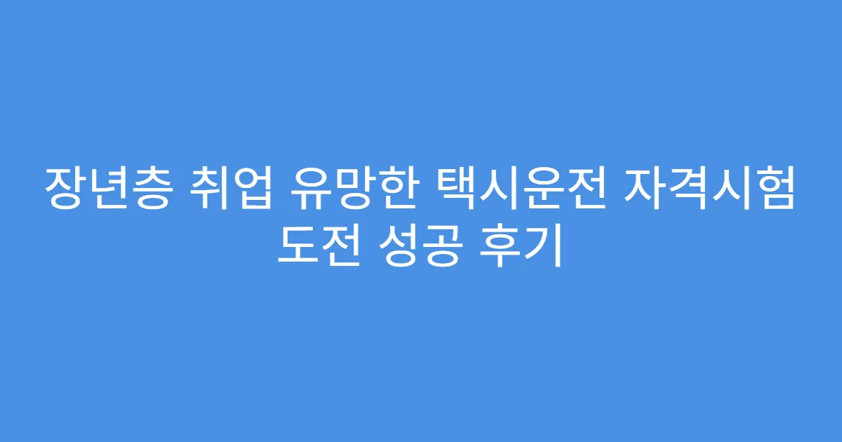 장년층 취업 유망한 택시운전 자격시험 도전 성공 후기