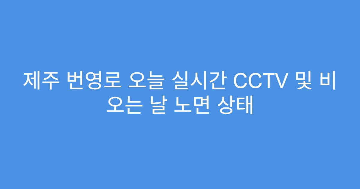 제주 번영로 오늘 실시간 CCTV 및 비 오는 날 노면 상태