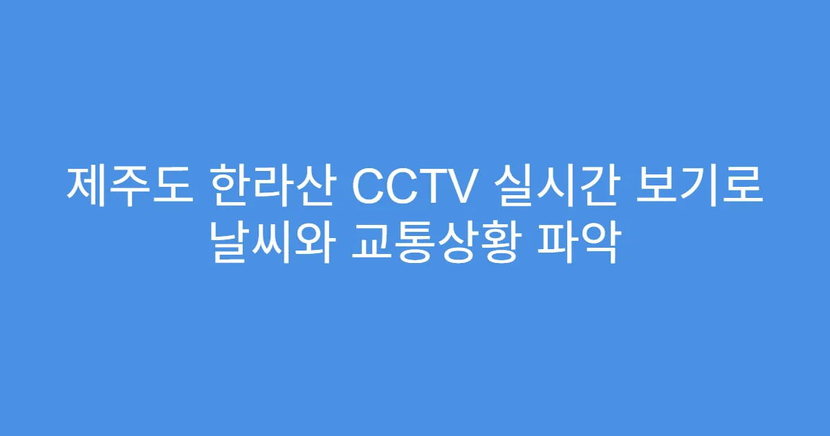 제주도 한라산 CCTV 실시간 보기로 날씨와 교통상황 파악