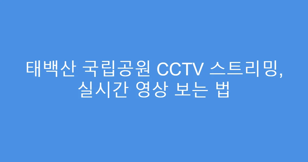태백산 국립공원 CCTV 스트리밍, 실시간 영상 보는 법