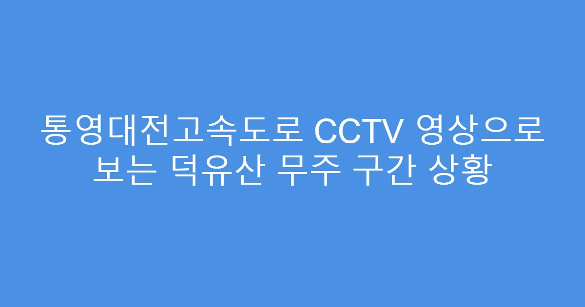 통영대전고속도로 CCTV 영상으로 보는 덕유산 무주 구간 상황