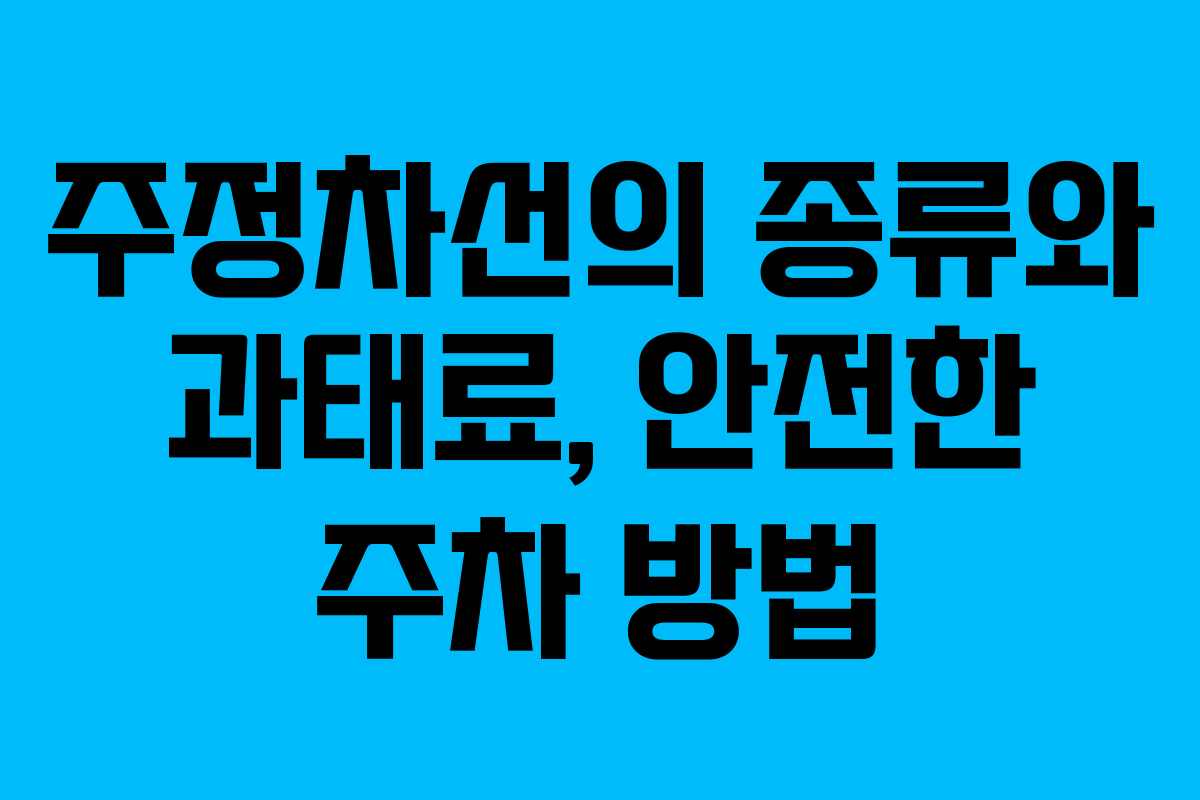 주정차선의 종류와 과태료, 안전한 주차 방법