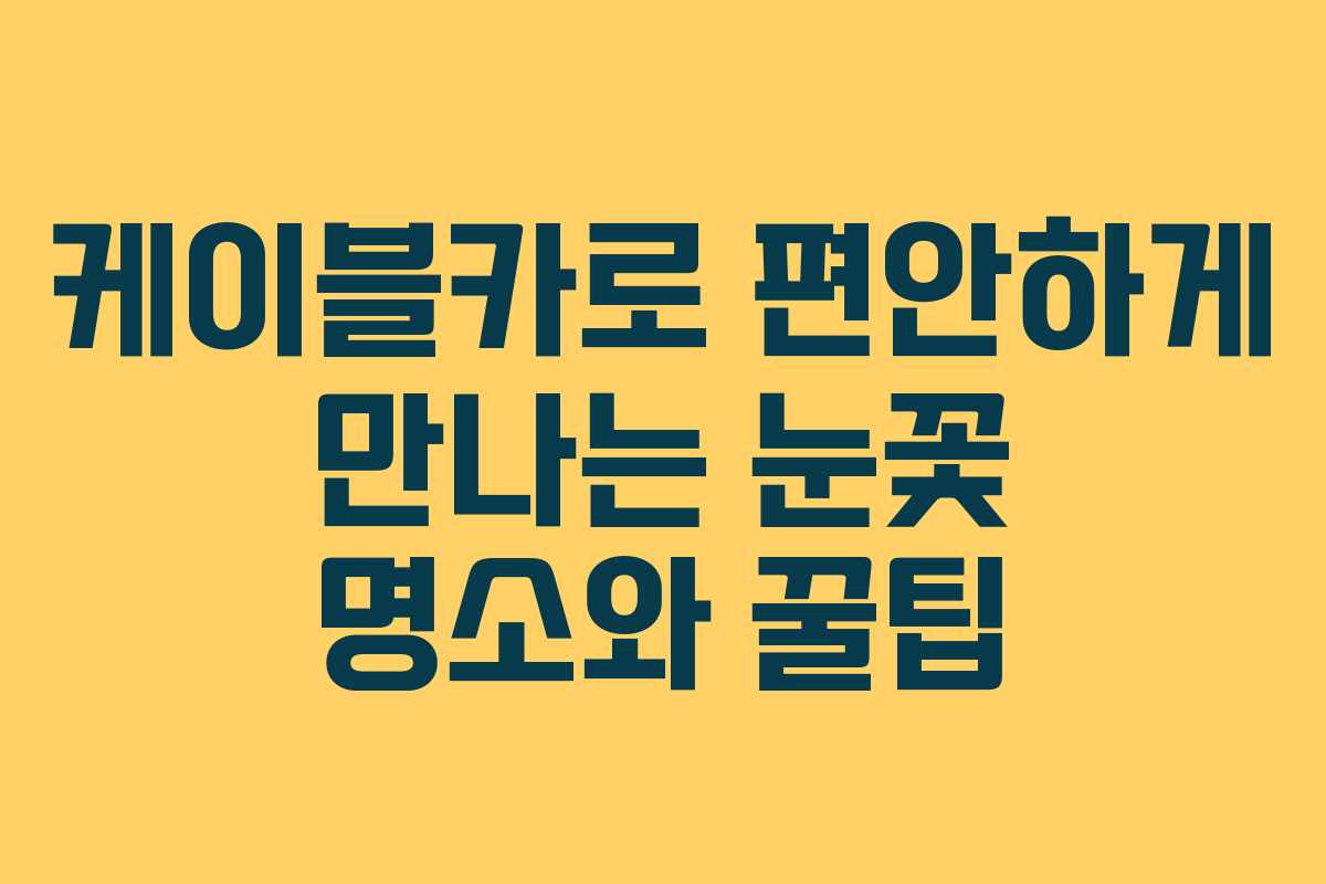 케이블카로 편안하게 만나는 눈꽃 명소와 꿀팁