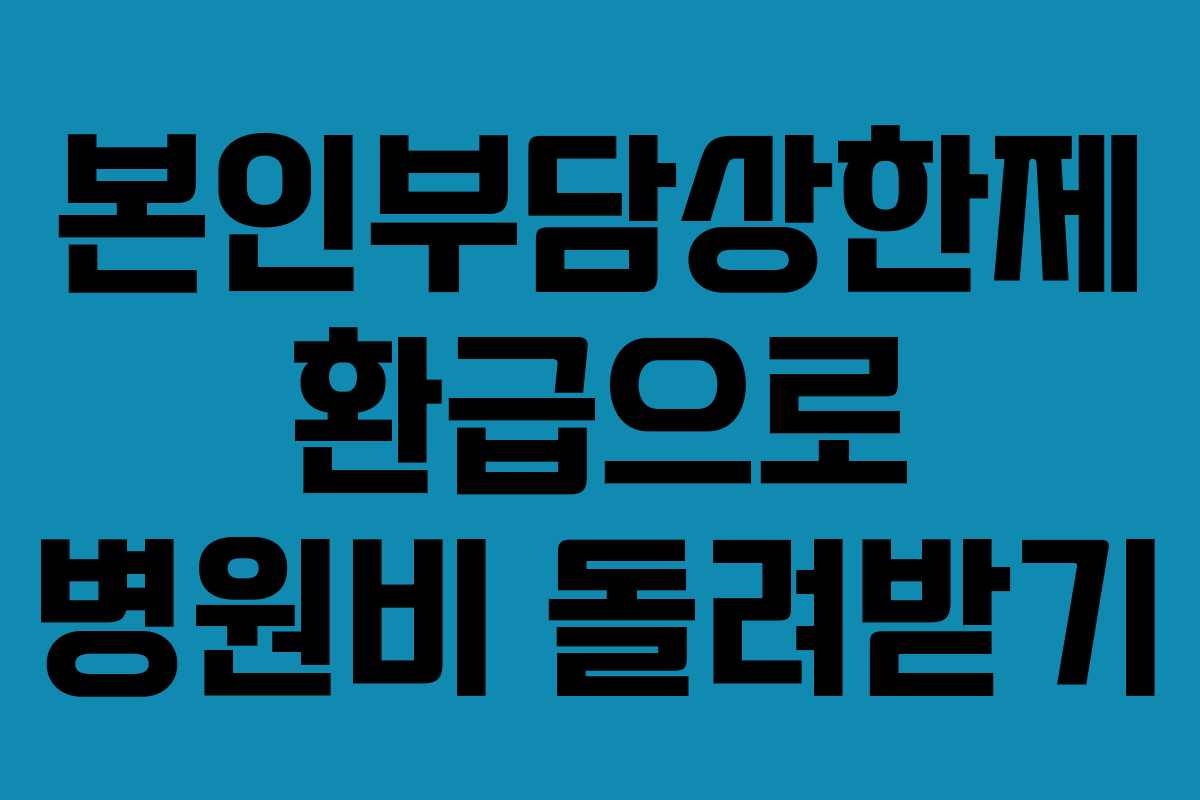 본인부담상한제 환급으로 병원비 돌려받기