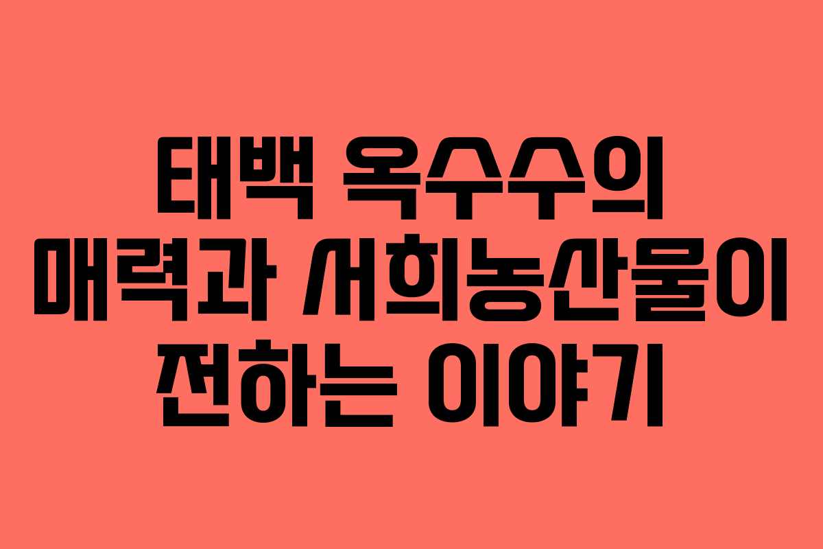 태백 옥수수의 매력과 서희농산물이 전하는 이야기