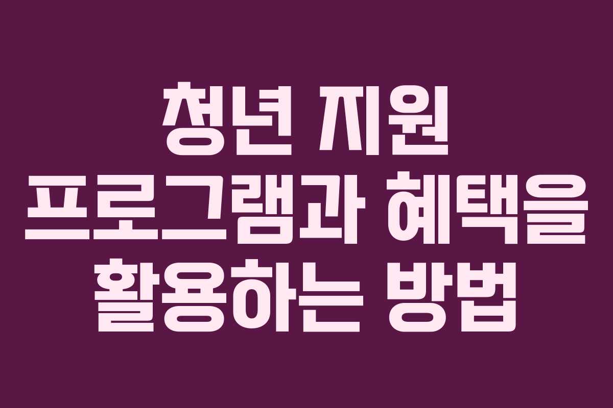 청년 지원 프로그램과 혜택을 활용하는 방법