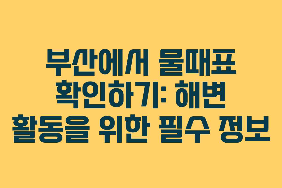 부산에서 물때표 확인하기: 해변 활동을 위한 필수 정보