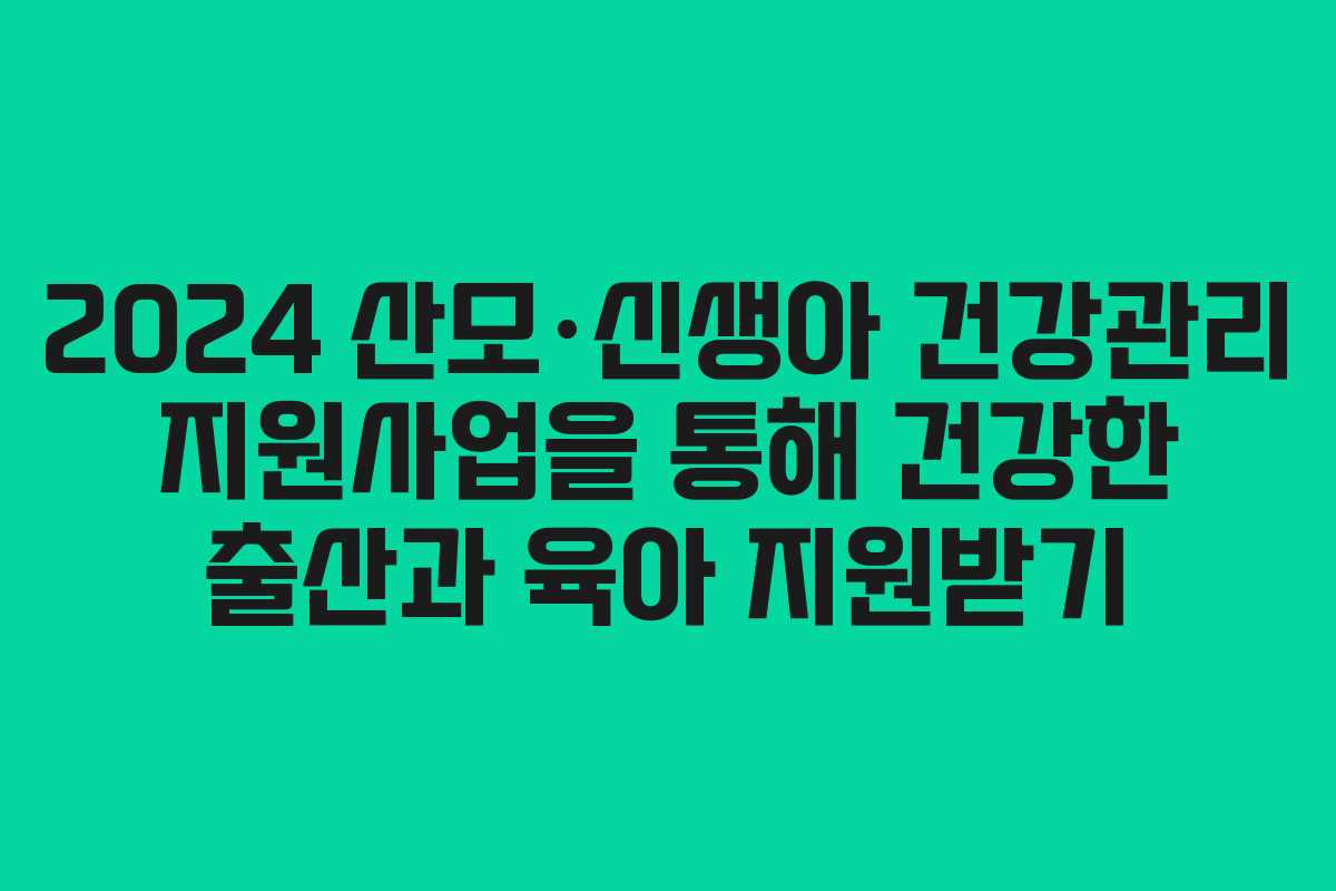 2024 산모·신생아 건강관리 지원사업을 통해 건강한 출산과 육아 지원받기
