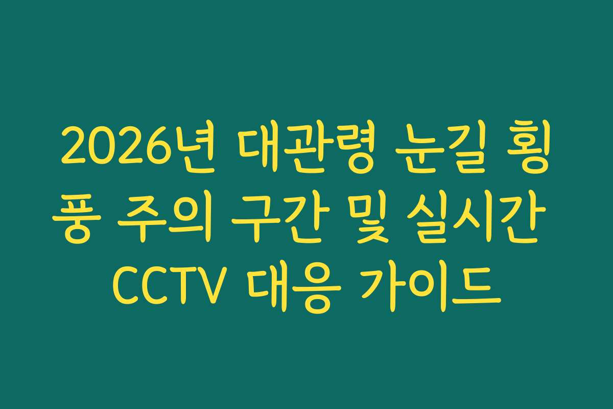 2026년 대관령 눈길 횡풍 주의 구간 및 실시간 CCTV 대응 가이드