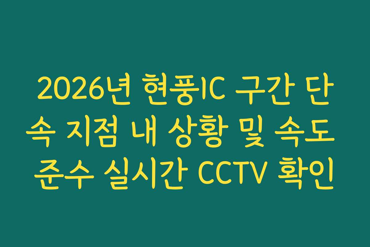 2026년 현풍IC 구간 단속 지점 내 상황 및 속도 준수 실시간 CCTV 확인