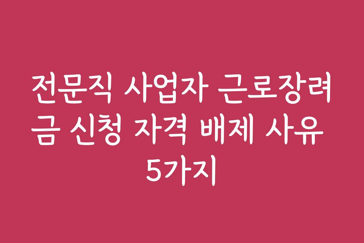 전문직 사업자 근로장려금 신청 자격 배제 사유 5가지